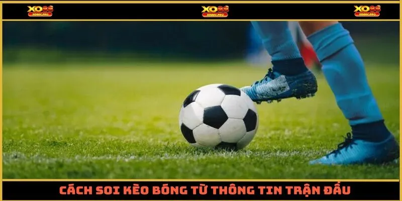 Cách soi kèo bóng từ thông tin trận đấu 