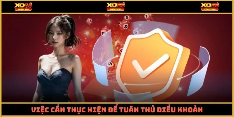 Việc cần thực hiện để tuân thủ điều khoản chính sách XO88 