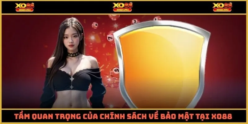 Tầm quan trọng của chính sách về bảo mật tại XO88 