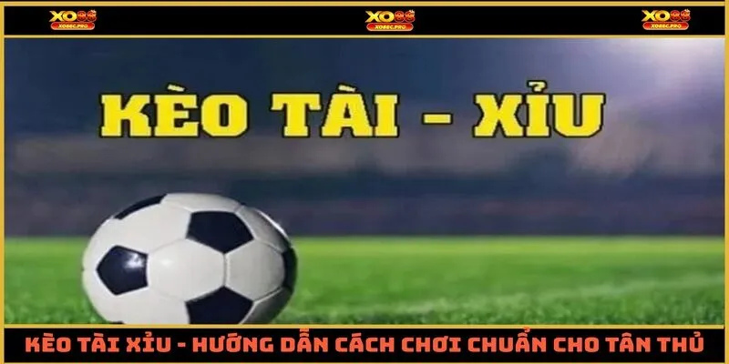 Kèo Tài Xỉu