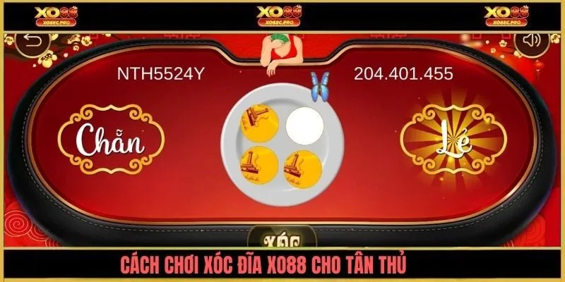 Cách chơi xóc đĩa XO88 cho tân thủ