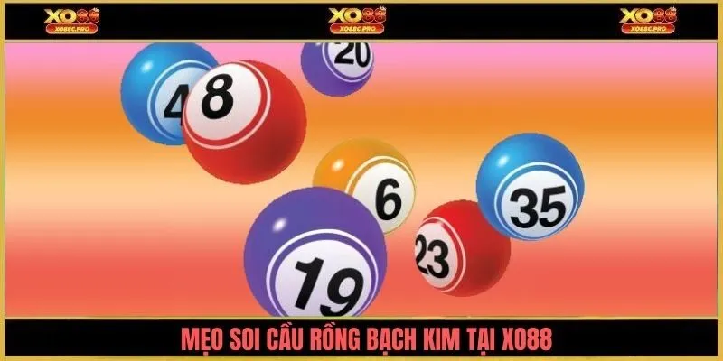 Mẹo soi cầu rồng bạch kim tại XO88