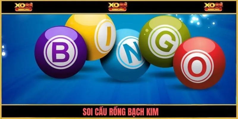 soi-cau-rong-bach-kim-avt