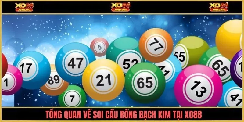 Tổng quan về soi cầu rồng bạch kim tại XO88